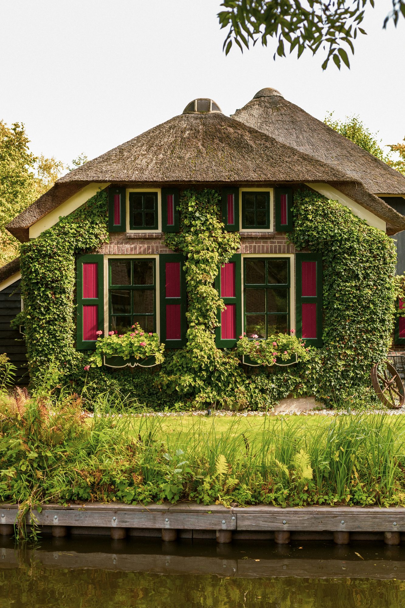 Met klimop begroeid huisje met bloembakken, de inspiratie voor de daktuin